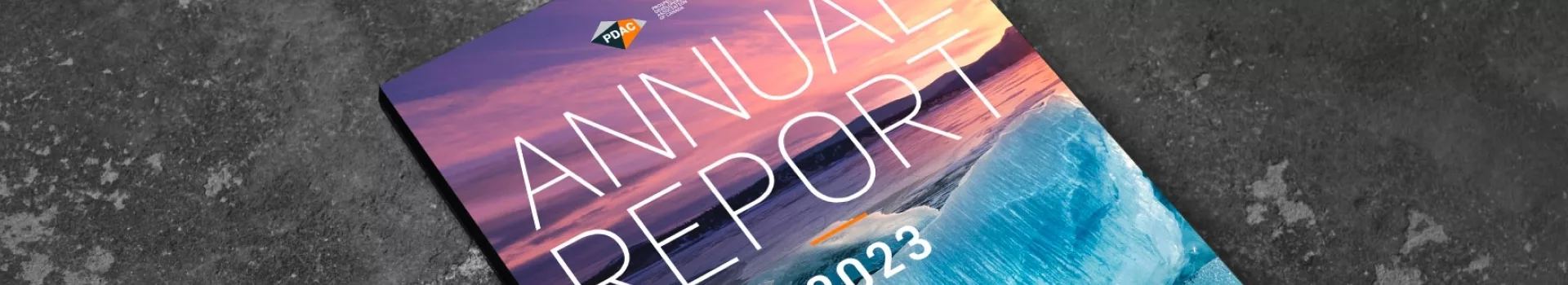 Annual Report