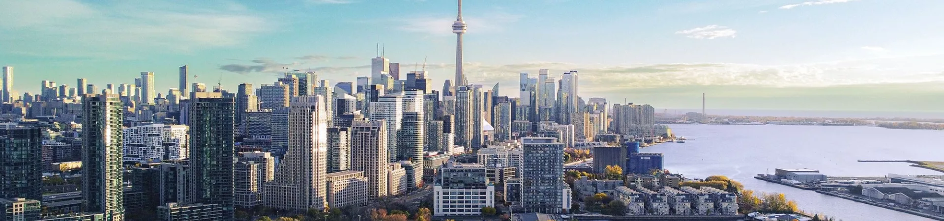 Toronto skyline water trees