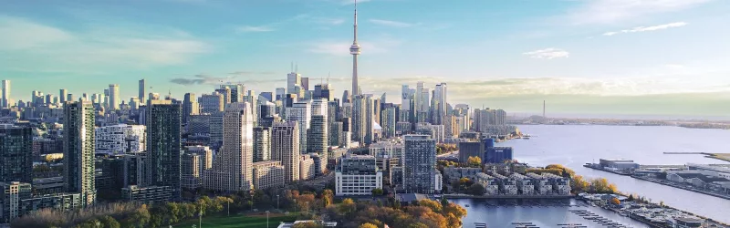 Toronto skyline water trees